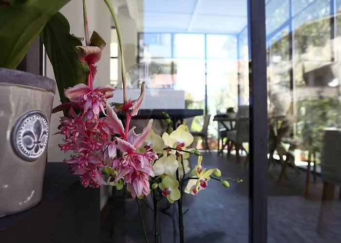 Bed and Breakfast Casa Fioravanti 4*